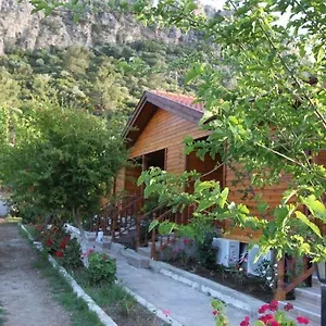 uygunluğu kontrol et